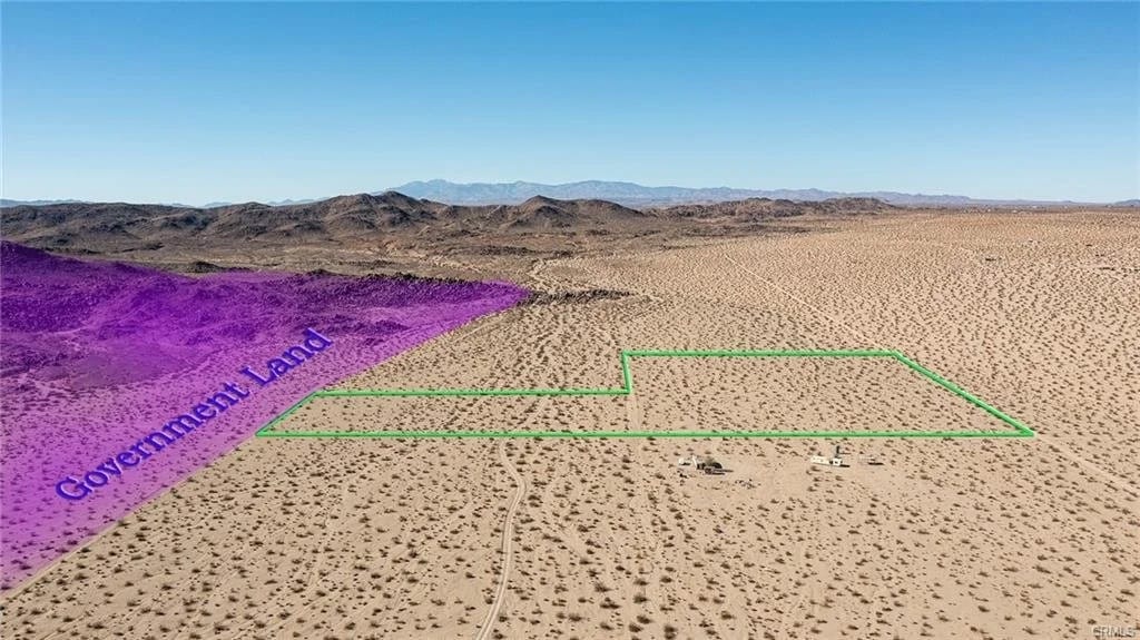 Desert vegetation and landscape