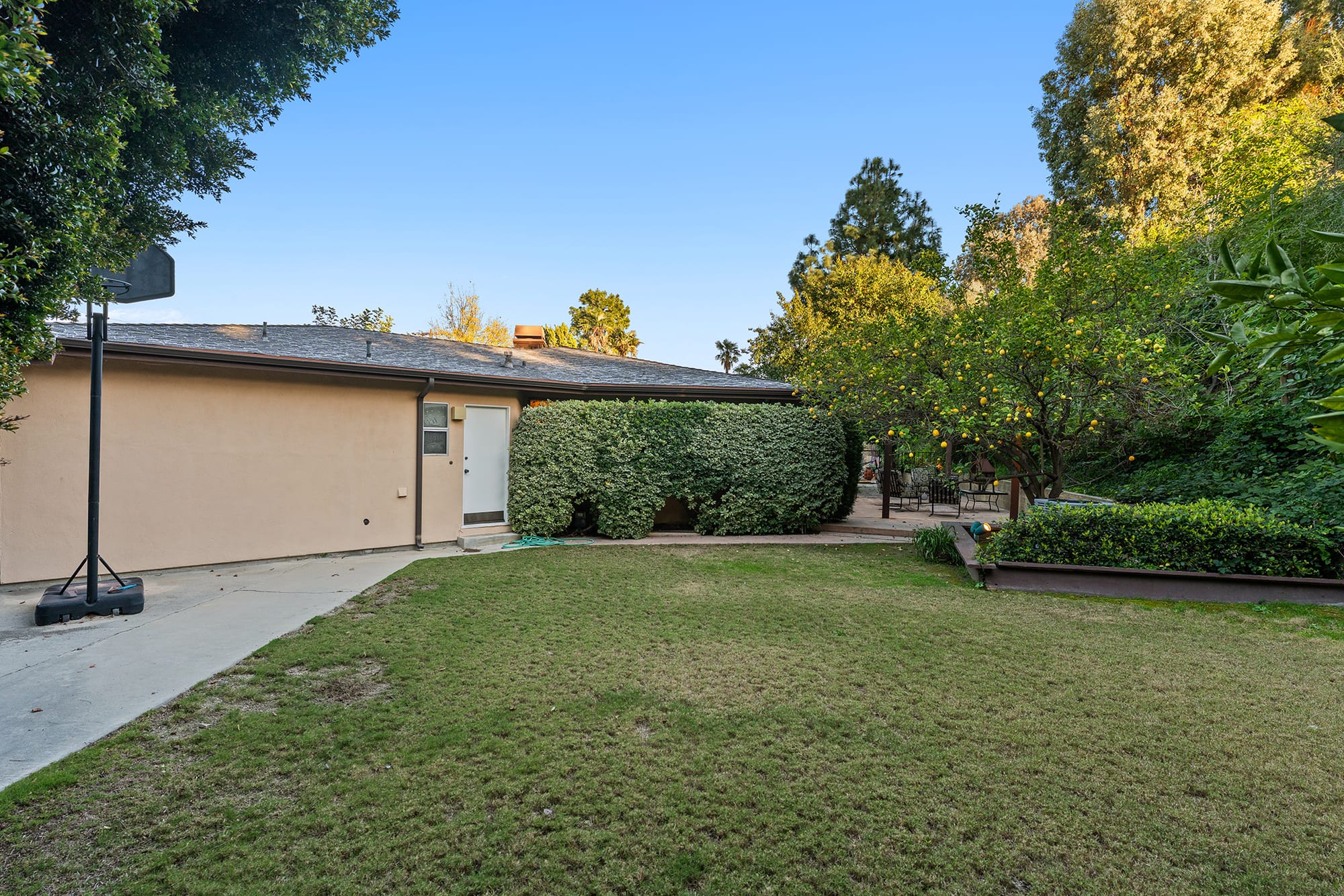16916 Dormie Pl final view
