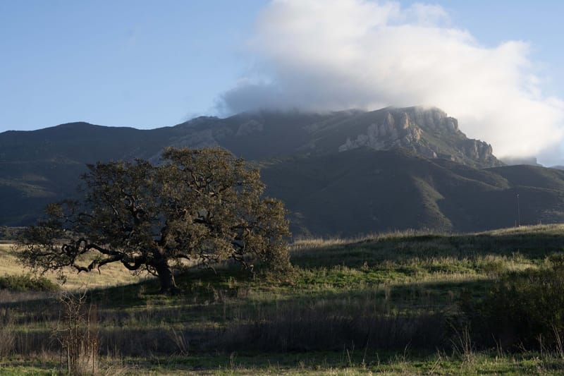 Boney Mountain rising above oak dotted grasslands in the Santa Monica Mountains