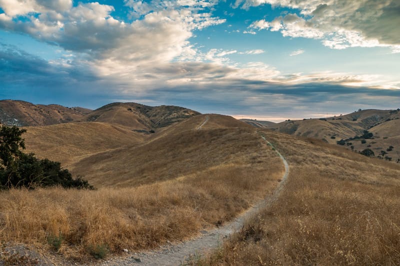 Golden rolling hills and winding trail at Cheeseboro Canyon near Oak Park