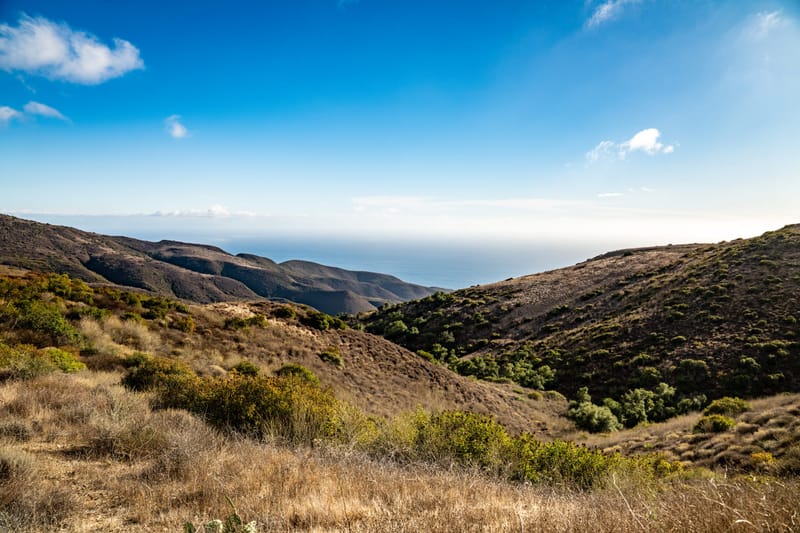 Sunlit chaparral hills of the Santa Monica Mountains sloping toward the Pacific Ocean under blue sky