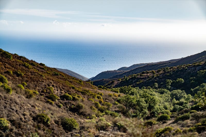 Chaparral covered canyon in the Santa Monica Mountains sloping toward the blue Pacific Ocean