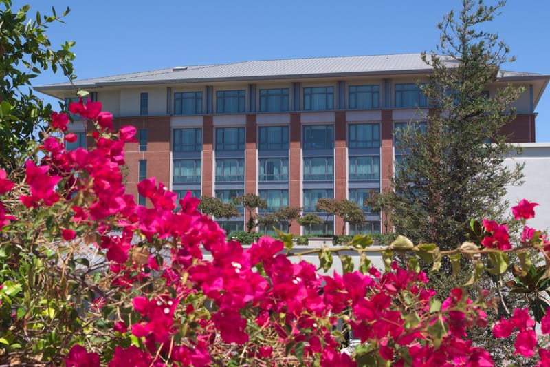 Four Seasons Westlake Village hotel framed by bright pink bougainvillea under clear blue sky