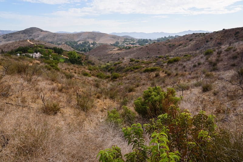 Golden chaparral hills along Hidden Meadow Trail in North Ranch Open Space, Thousand Oaks