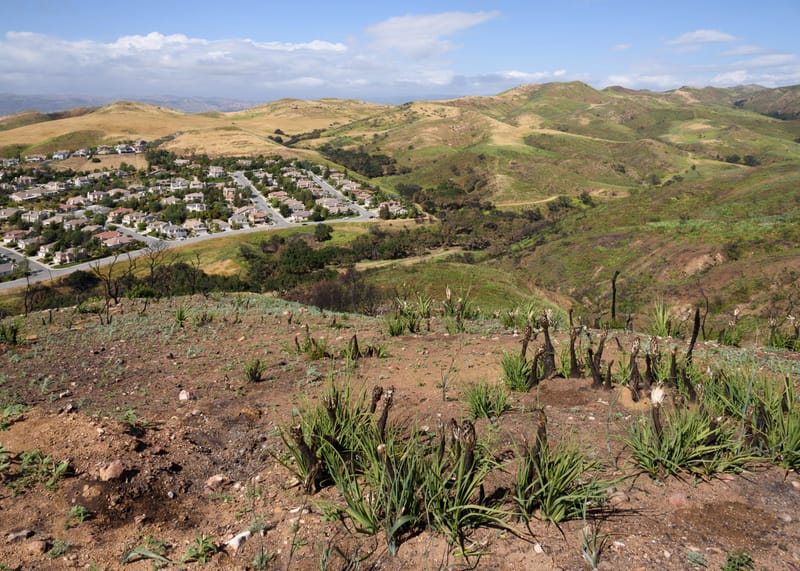 View from Oakbrook Vista Trail in Lang Ranch Open Space over Thousand Oaks hills and neighborhoods