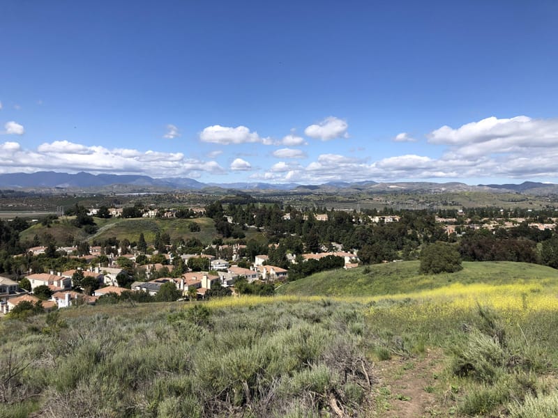 Hilltop view over Moorpark California neighborhoods with wildflowers and distant mountains