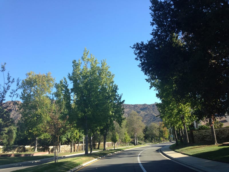 Tree lined residential boulevard with oak covered hills in the Conejo Valley near Agoura Hills