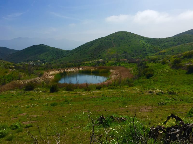 Twin Ponds surrounded by green rolling hills in the Dos Vientos Open Space, Newbury Park