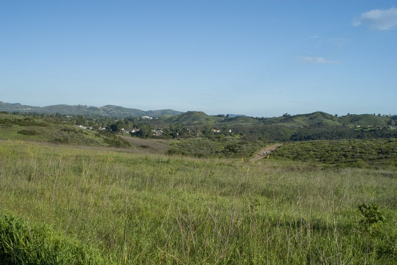 Green rolling hills and grassy meadow at Wildwood Park in Thousand Oaks with homes nestled in the Conejo Valley
