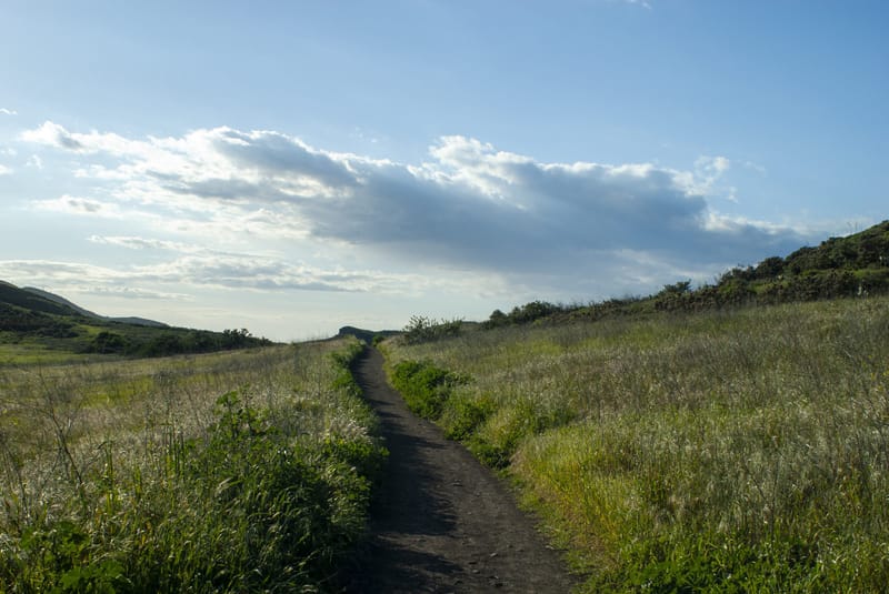 Dirt trail winding through green spring grasses and rolling hills at Wildwood Park in Thousand Oaks