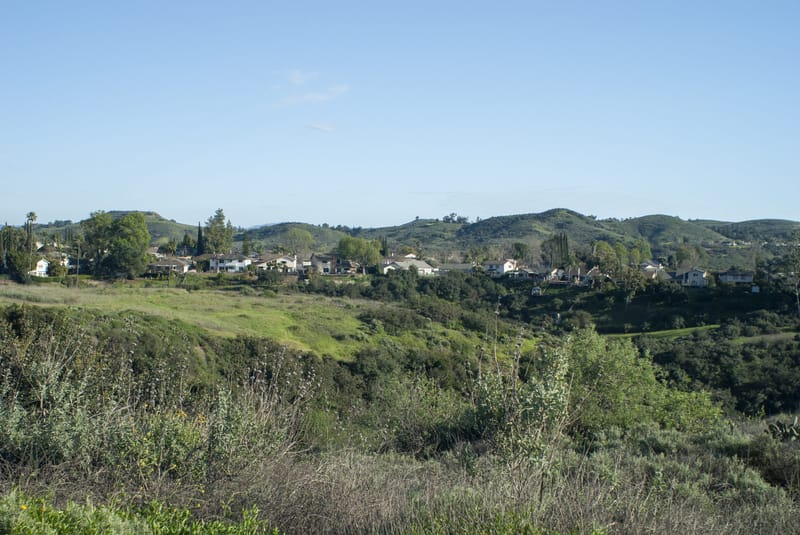 Green hillsides of Wildwood Park with Thousand Oaks homes along the ridge in the Conejo Valley