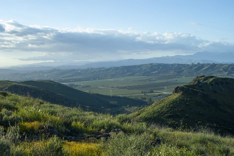 Green rolling hills and farm fields viewed from Wildwood Park in the Conejo Valley