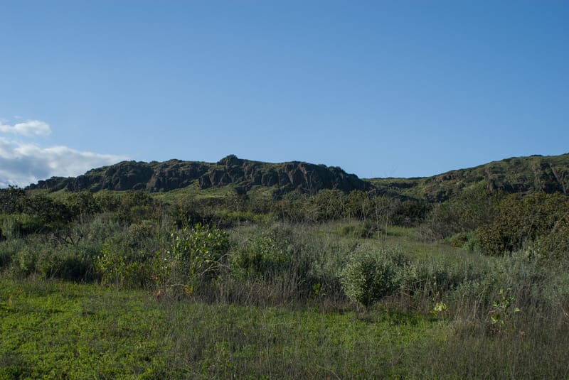 Green spring hillsides and volcanic rock outcrops at Wildwood Park in Thousand Oaks