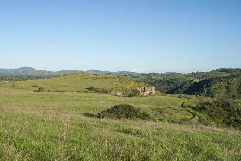 Green rolling hills and open meadow at Wildwood Park in Thousand Oaks under clear blue sky