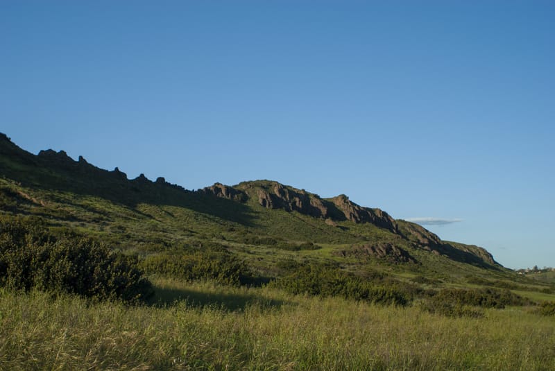 Green rolling hills and volcanic rock outcrops at Wildwood Park in Thousand Oaks under a clear blue sky