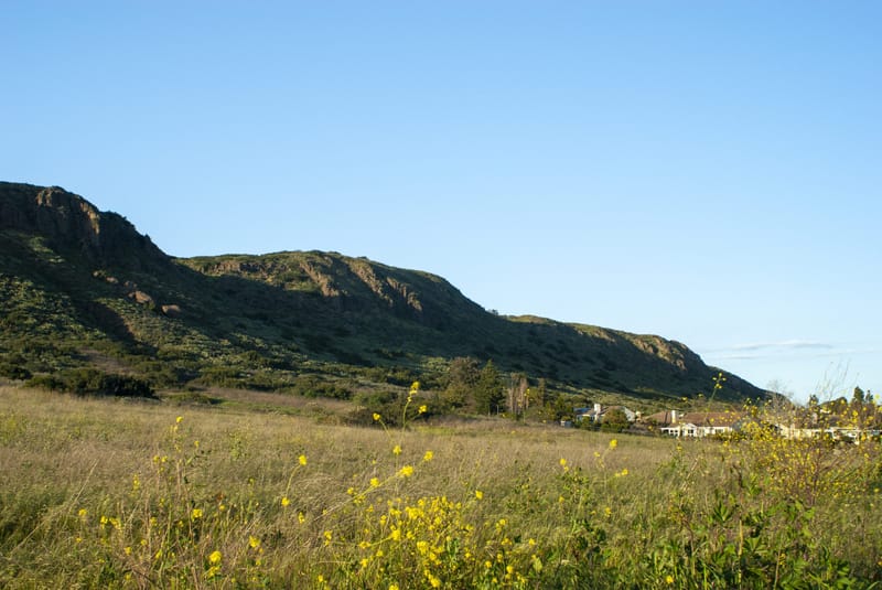 Golden grasses and wildflowers below volcanic ridgelines at Wildwood Park in Thousand Oaks
