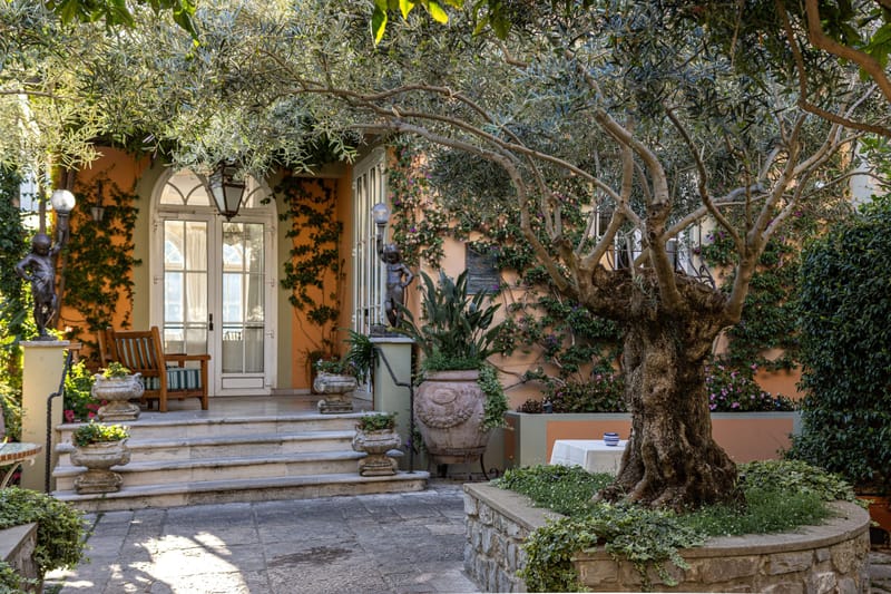 Mediterranean villa entry with ancient olive tree, stone urns and ivy covered terracotta walls in sunlight