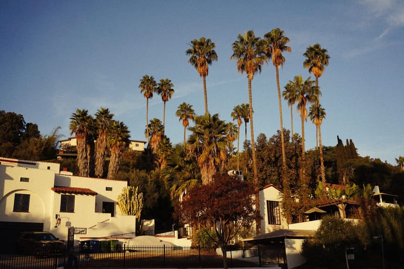 Spanish style hillside homes framed by tall palm trees in warm California golden hour light