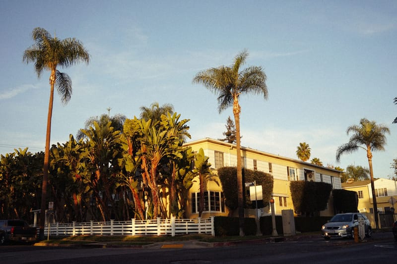 Golden hour light on a Southern California street with palms, banana plants and a yellow apartment building.<br>
