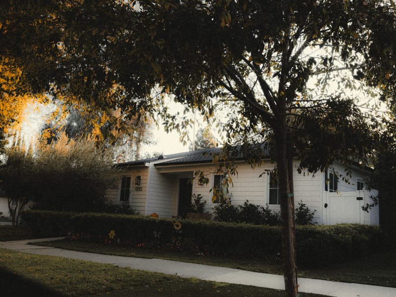 Single story white ranch home framed by leafy trees with a sidewalk and trimmed hedges at golden hour.*