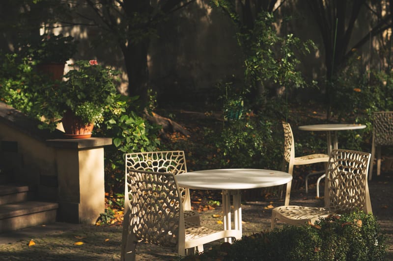 Sunlit garden patio with white bistro tables, chairs and potted geraniums under leafy trees