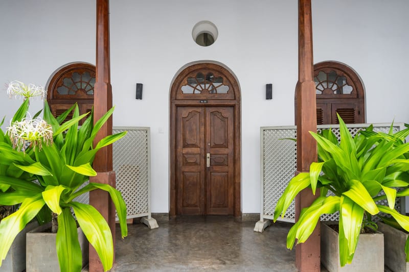Arched wooden double door entry framed by tropical potted plants and white stucco walls in a sunny courtyard.de