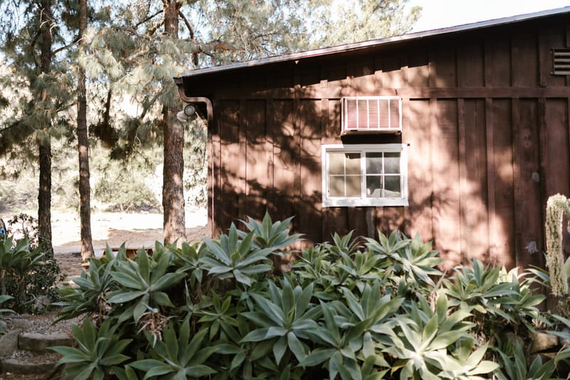Rustic board and batten ranch house with agave plants and pines in warm California light.Warm wood siding and white window.Warm.Warm.Warm.Warm.Warm.Warm.Warm.Warm.Warm.Warm.Warm.Warm.Warm.War